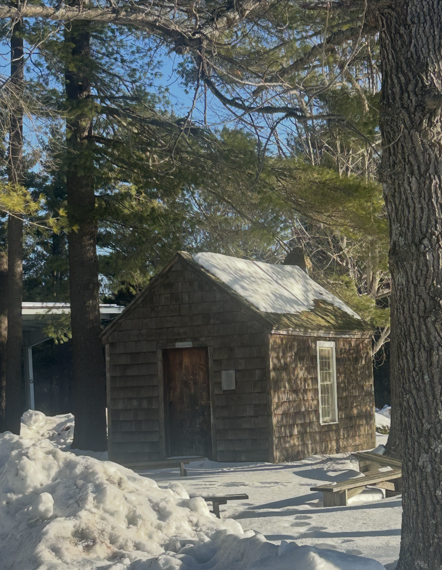 The Cabin in the Courtyard